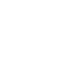 ícone neurodivergência